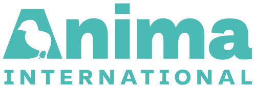 Anima International Anima International