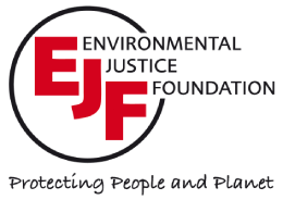 https://www2.eurobrussels.com/ourjobs/ejf_logo_large_2.png